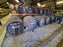Provenance Festival: Aberdeenshire Whisky Tasting 30th September 2023 6pm