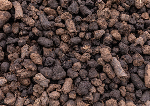 Not All Peat Tastes The Same: A Whisky Tasting Event Saturday 3rd February 2024 7pm