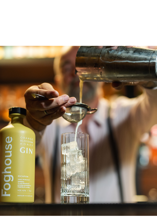 Cocktail Evening - Shake and Make! Friday, 13th February 7pm