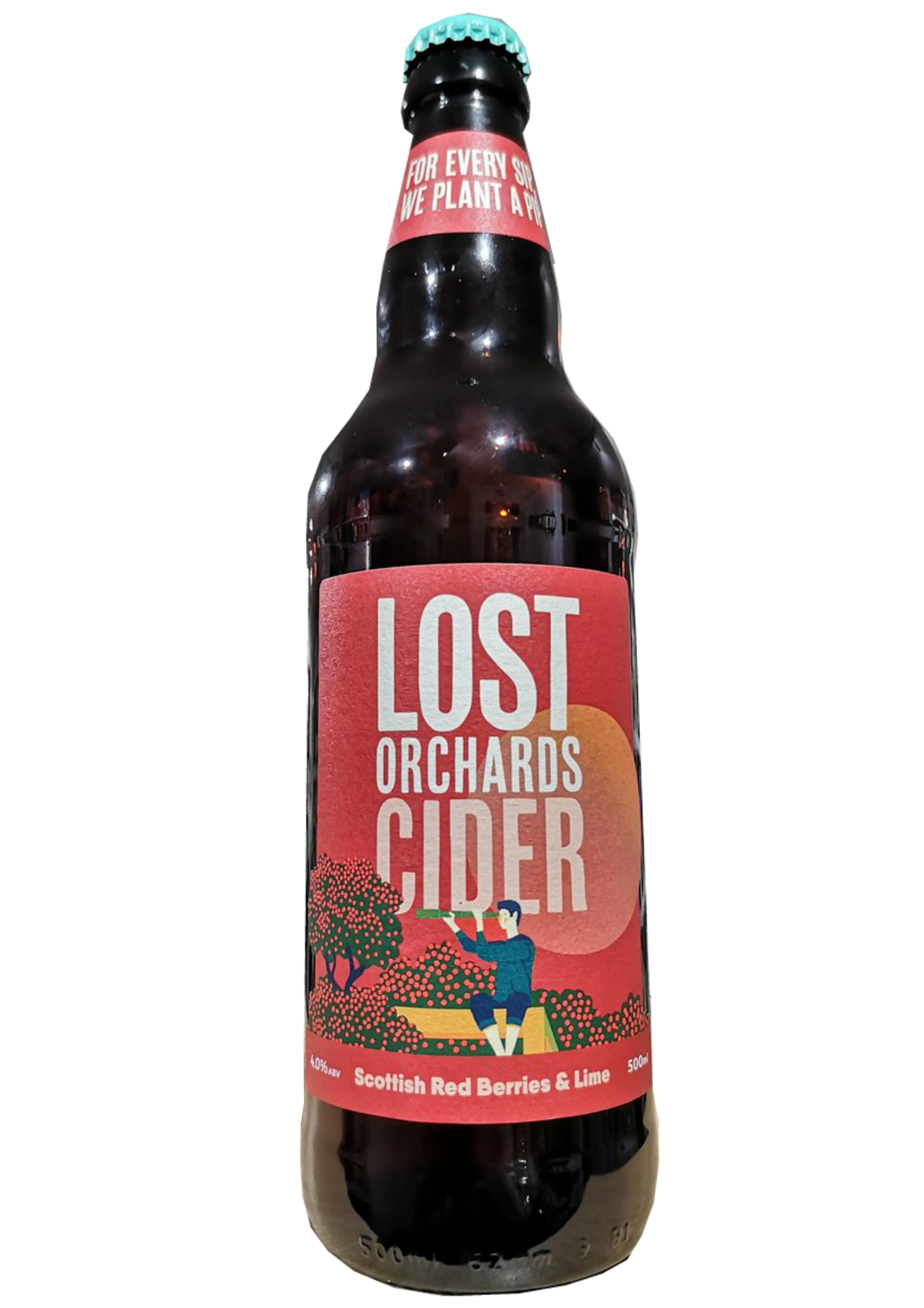 Cider